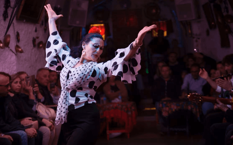 Flamenco Show in the Sacromonte of Granada with Drink