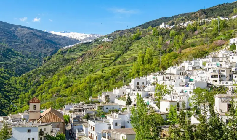 Savor the authentic Alpujarra dish in Capileira on a route through the heart of La Alpujarra